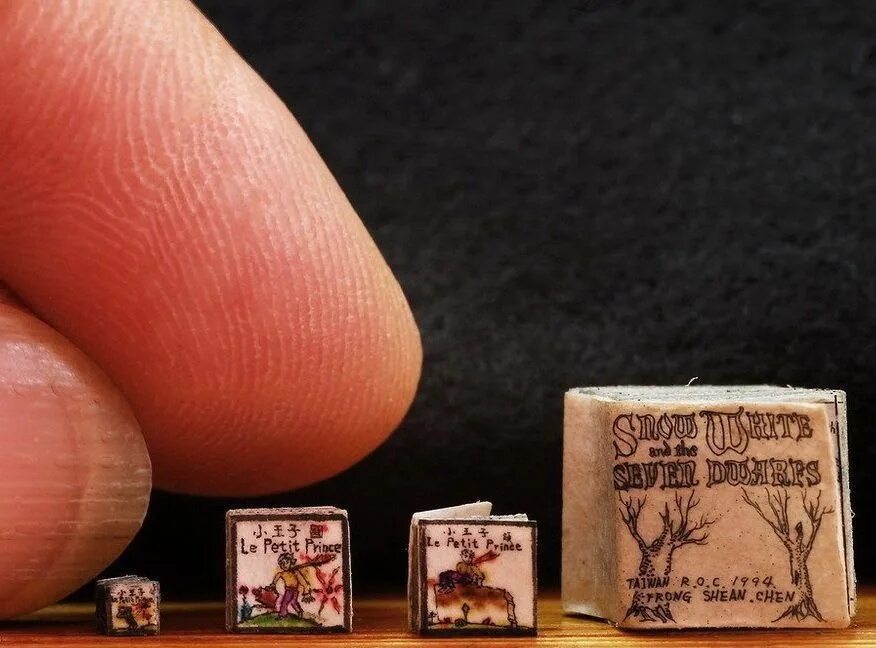 Самая маленькая книга. Самая маленькая книга в мире. Самая маленькая книжка в мире. Миниатюрные книги.