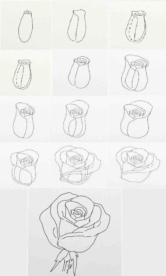 Пошаговые рисунки. Рисуем розу карандашом поэтапно. Цветы несложные для рисования. Урок рисования розы карандашом. Рисование цветов.