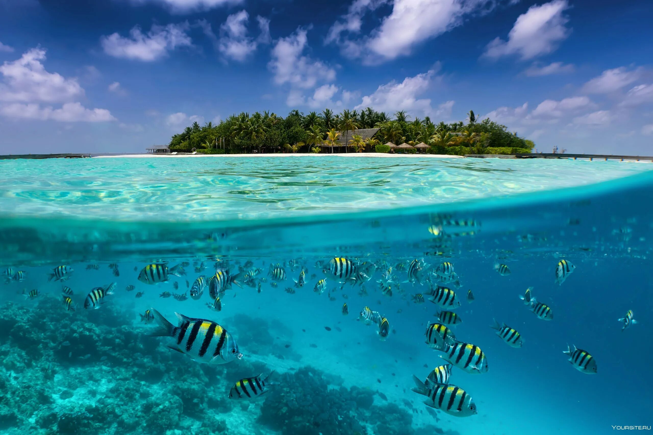 Индийский океан Мальдивы. Мальдивы Лагуна риф. Тропическое море. Тропические воды.