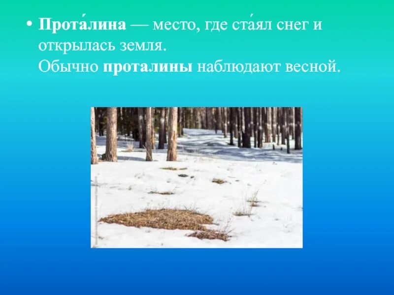 Место где стаял снег. Проталины. Проталины на снегу. Проталины это для детей. Проталины на земле.