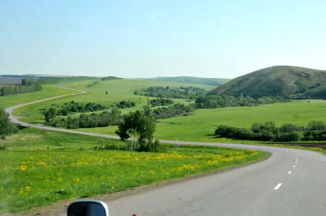 Село Куйбышево Краснощековский район. Новошипуново Алтайский край. Маралиха Чарышский район. Новошипуново Краснощековского района Алтайского края.