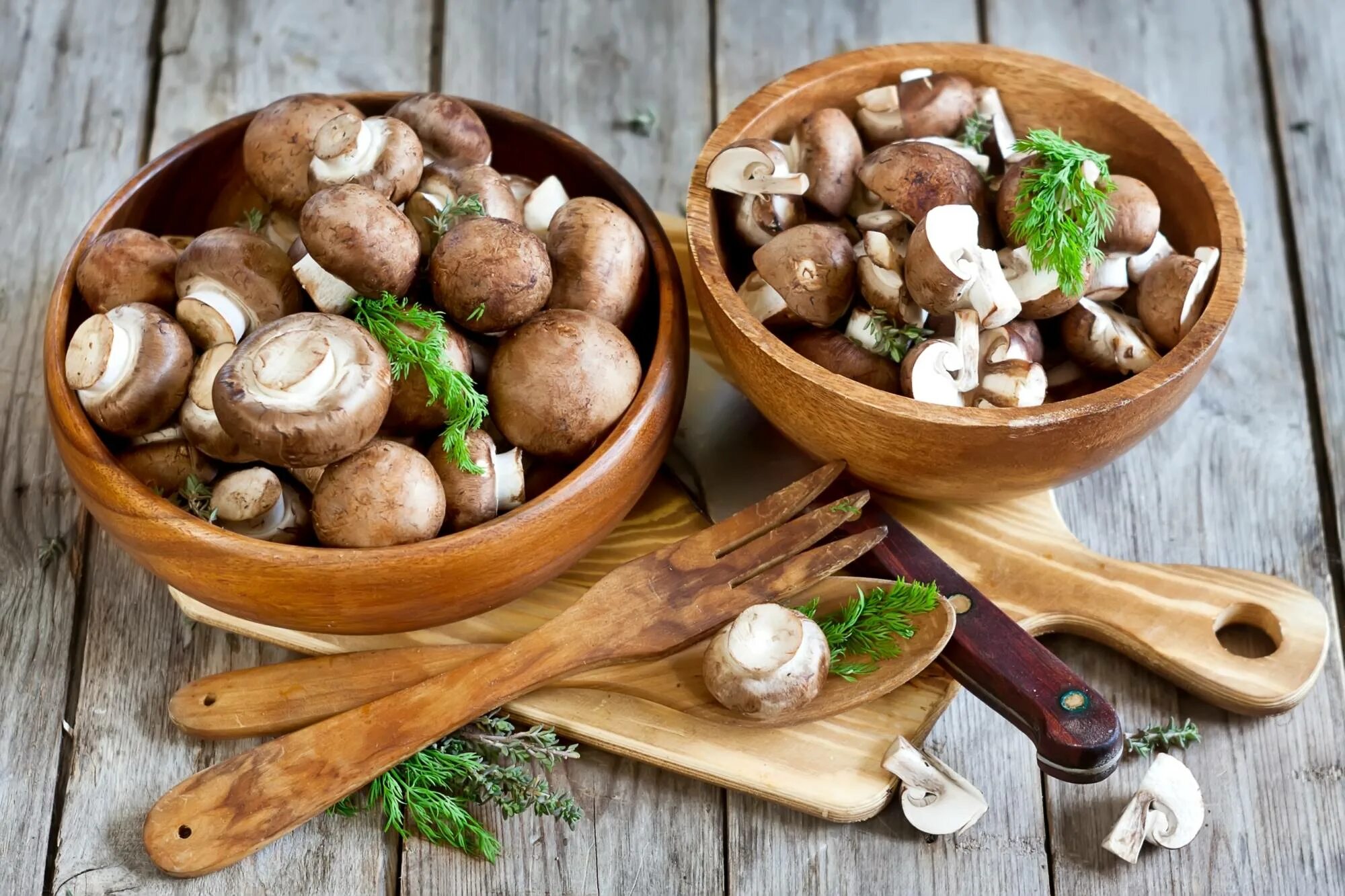 Шампиньоны с укропом. Закуска грибочки-боровички. Шампиньоны Портобелло. Грибы для готовки. Целебные грибы.