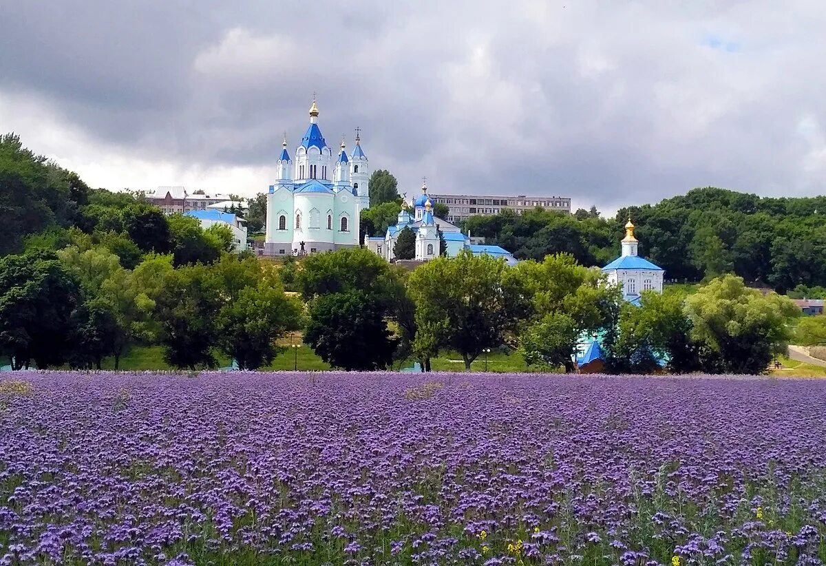 Сайт курской коренной пустыни. Коренная пустынь Курская область. Монастырь Курской коренной пустыни. Курск Коренная пустынь монастырь. Монастырь в коренной пустыни Курская область.