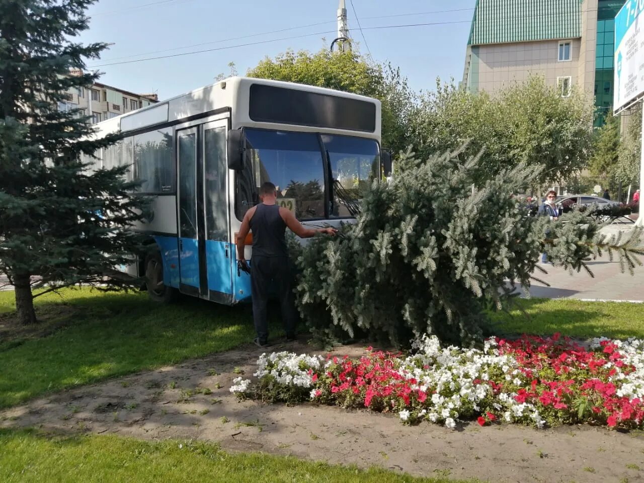 Расписание 103 кумертау маячный. 102 автовокзал. Елизово петропавловск камчатский автобус 102. 102 автовокзал. Автостанция 10 км петропавловск камчатский.