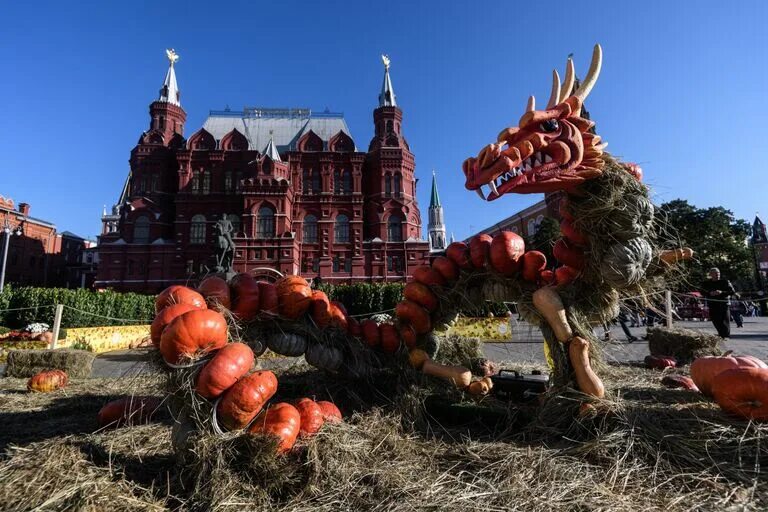 Фестивали в санкт-петербурге. Фестивали спб осень. Фестивали спб осень. Павловск фестиваль цветов. Петербург ноябрьские праздники.