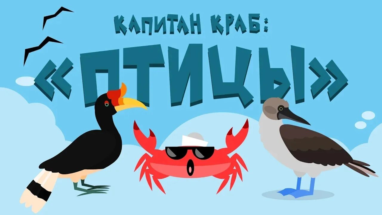 Краб птицы. Капитан краб птицы. Капитан краб джунглядка. Капитан краб Птичья зарядка. Крабик с птицей.