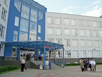 Колледж политехнический спб после 9 класса