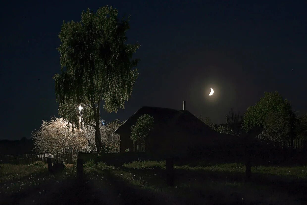 Луна поднималась и освещала. Ночь в деревне. Летняя ночь в деревне. Лунная ночь в деревне. Дерево ночью.