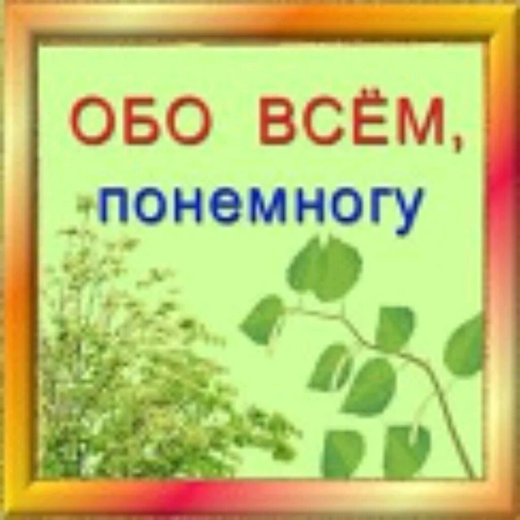 Обо всём по немногу. Обо всем понемножку. Все обо всем. Обо всём понемногу картинки.