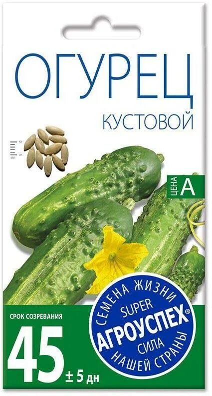 Огурец красавчик отзывы. Огурец кустовой Агроуспех. Агроуспех семена огурец кустовой. Огурец засолочный Агроуспех. Огурец красавчик f1 СЕДЕК.