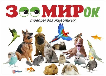 Зоомир 33