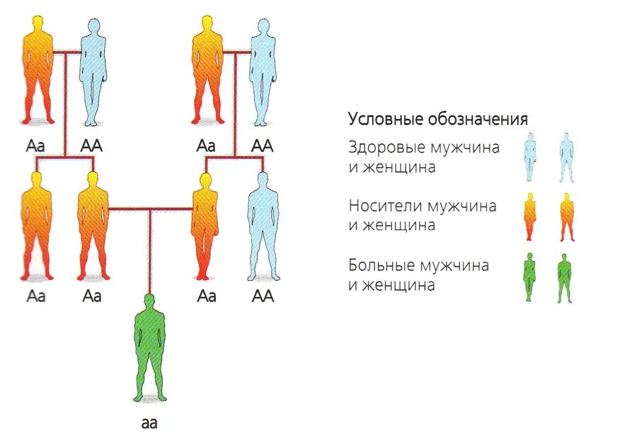 Рецессивный омега. Аутосомно-рецессивные заболевания. Заболевание наследуется аутосомно-рецессивно.. Аутосомное рецессивное заболевание. Аутосомно-рецессивный Тип наследования.