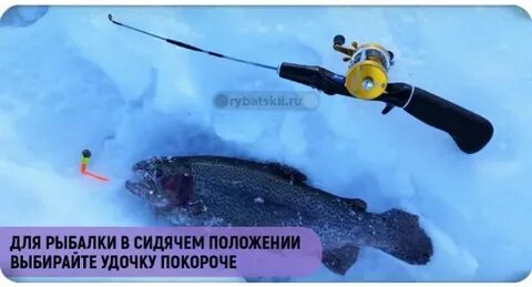 Зимняя удочка для форели