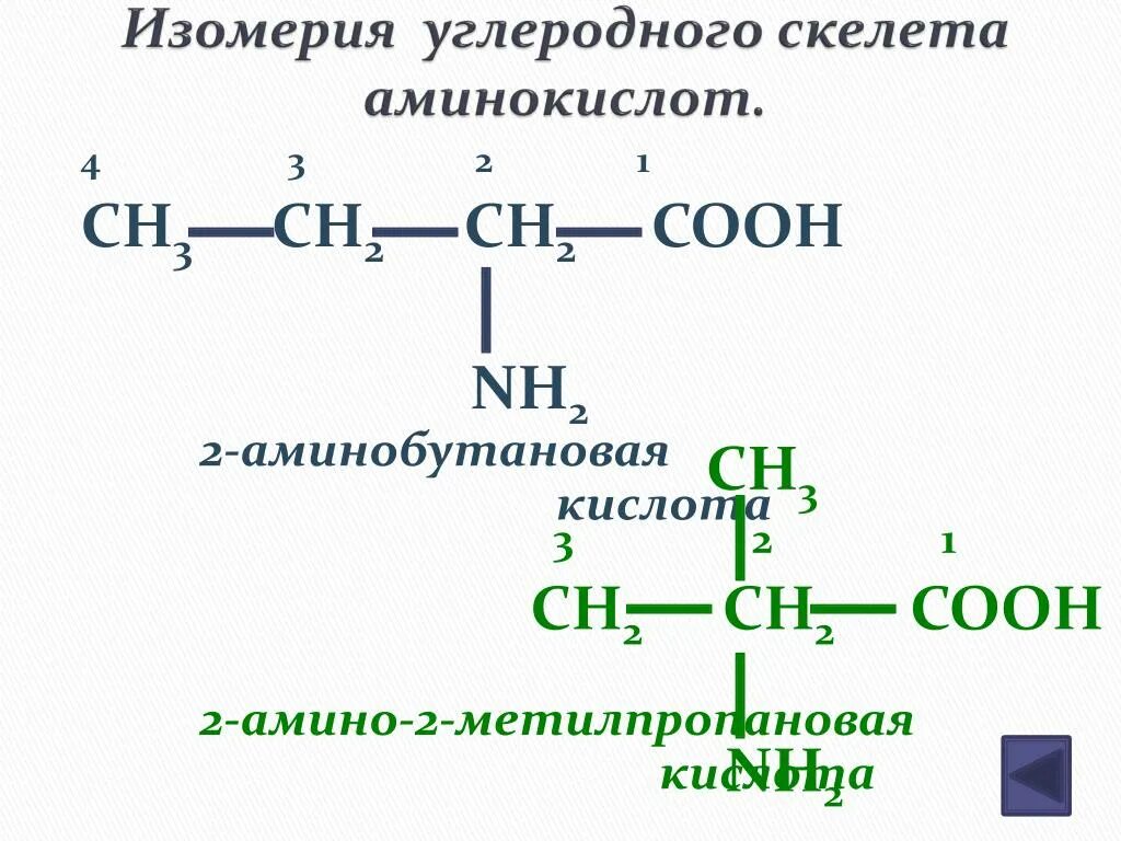 Составить формулу бутановой кислоты. 2-Амино-2-метилпропановой кислоты. Амины изомерия углеродного скелета. 3 Амино 2 метилпропановая кислота. 3амино2метилпропановой кислоты.