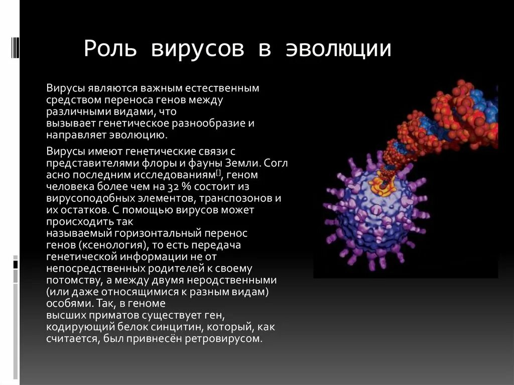 Эволюция вирусов. Роль вирусов. Роль вирусов в эволюции жизни на земле. Функции вирусов. Пройдет ли вирус