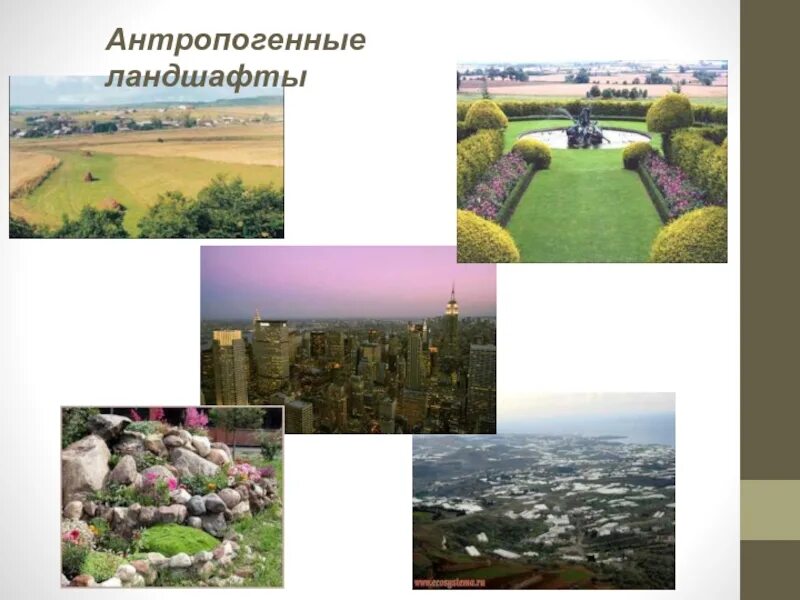 Виды антропогенных ландшафтов. Культурные антропогенные ландшафты. Примеры антропогенных ланшафт. Антропогенным комплексом называется. Что такое ландшафт в географии 8 класс.