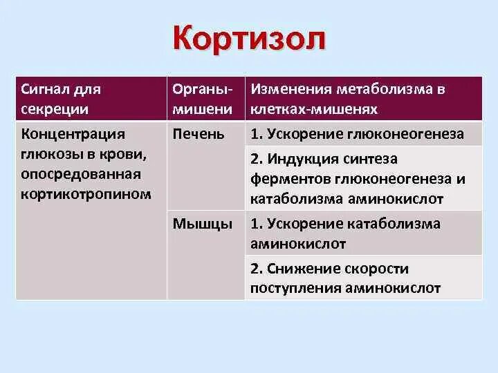 Орган мишень регуляция. Орган мишень регуляция