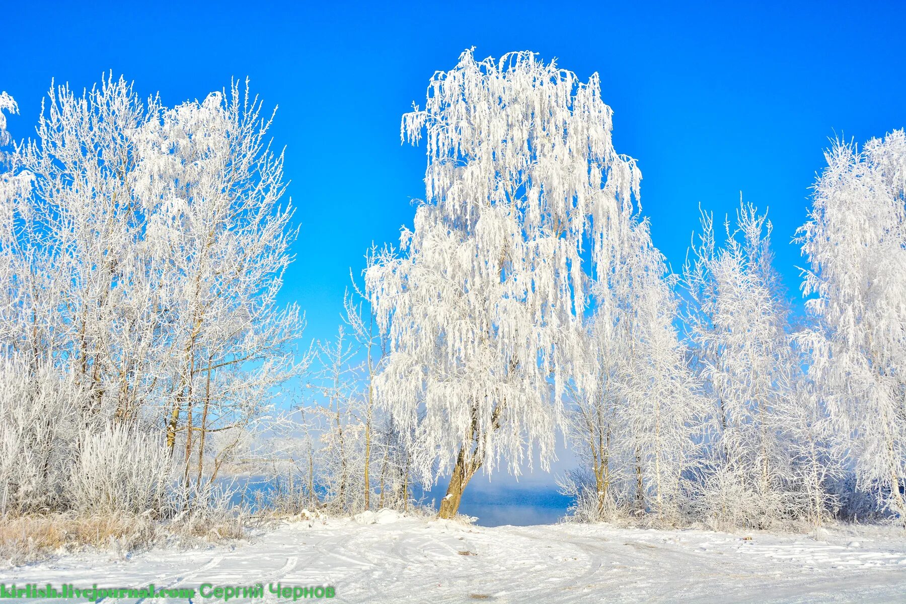 Редкую зиму