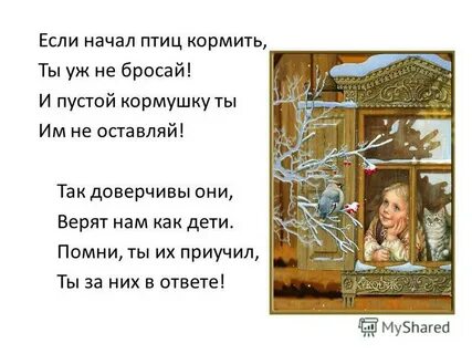 Жизнь пернатых начала замирать