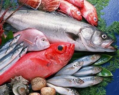Рыба рыбная продукция