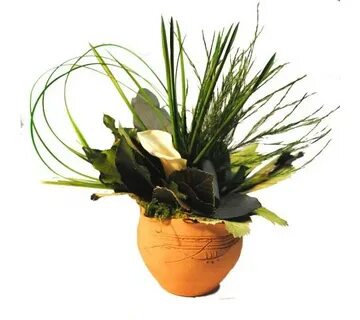 Plant 2014