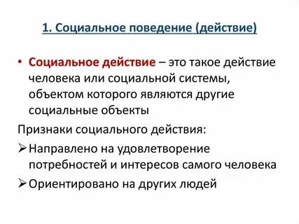 Как вы понимаете термин социальный
