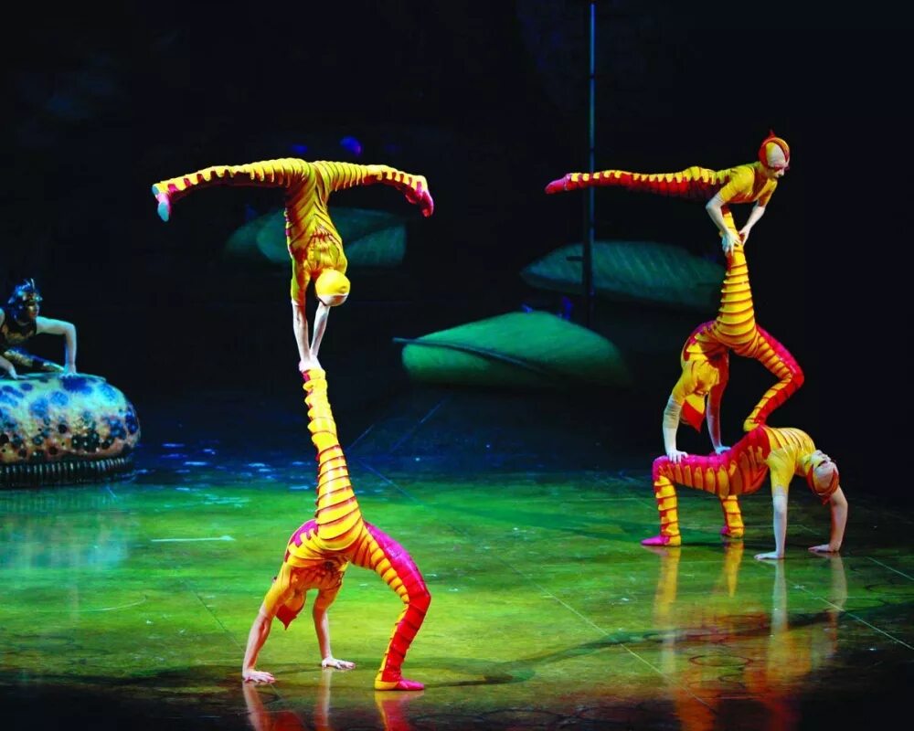 Цирковой жанр 8 букв. Цирковое шоу Cirque du Soleil. Цирк дю солей акробатика. Цирк дю солей представления. Артисты дю солей.