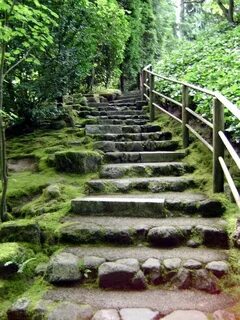 Beautiful steps