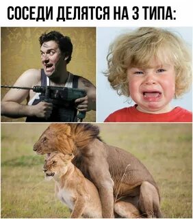 Новейшие смешные картинки до слез