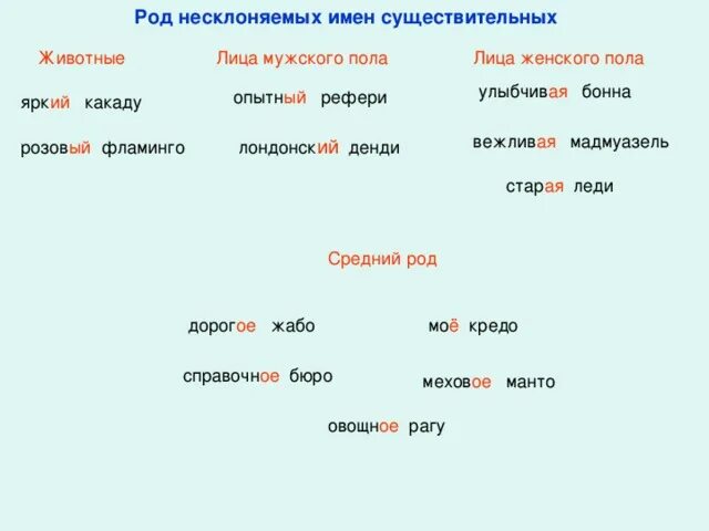 Определите род существительных какаду. Какаду какой род. Какаду какой род существительного. Род слова Какаду род. Какой род у слова Какаду.