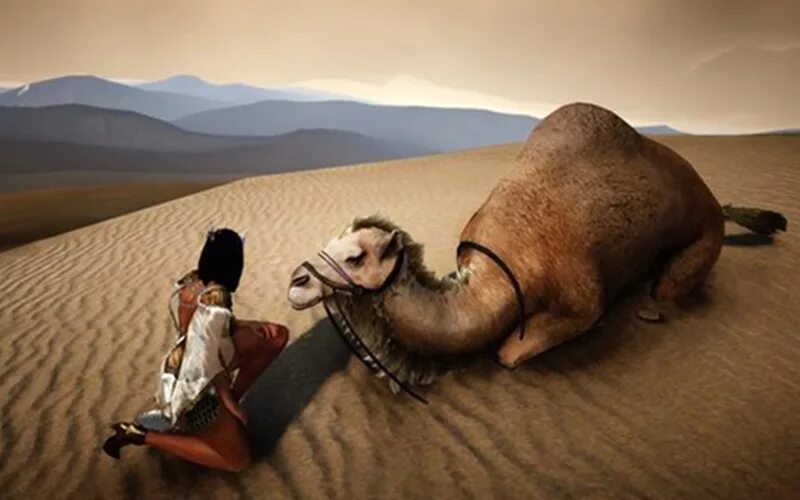 Как получить верблюда. Как получить верблюда. Хаптагай верблюд. Верблюд двугорбый туркменистан. Киплинг верблюд горб.