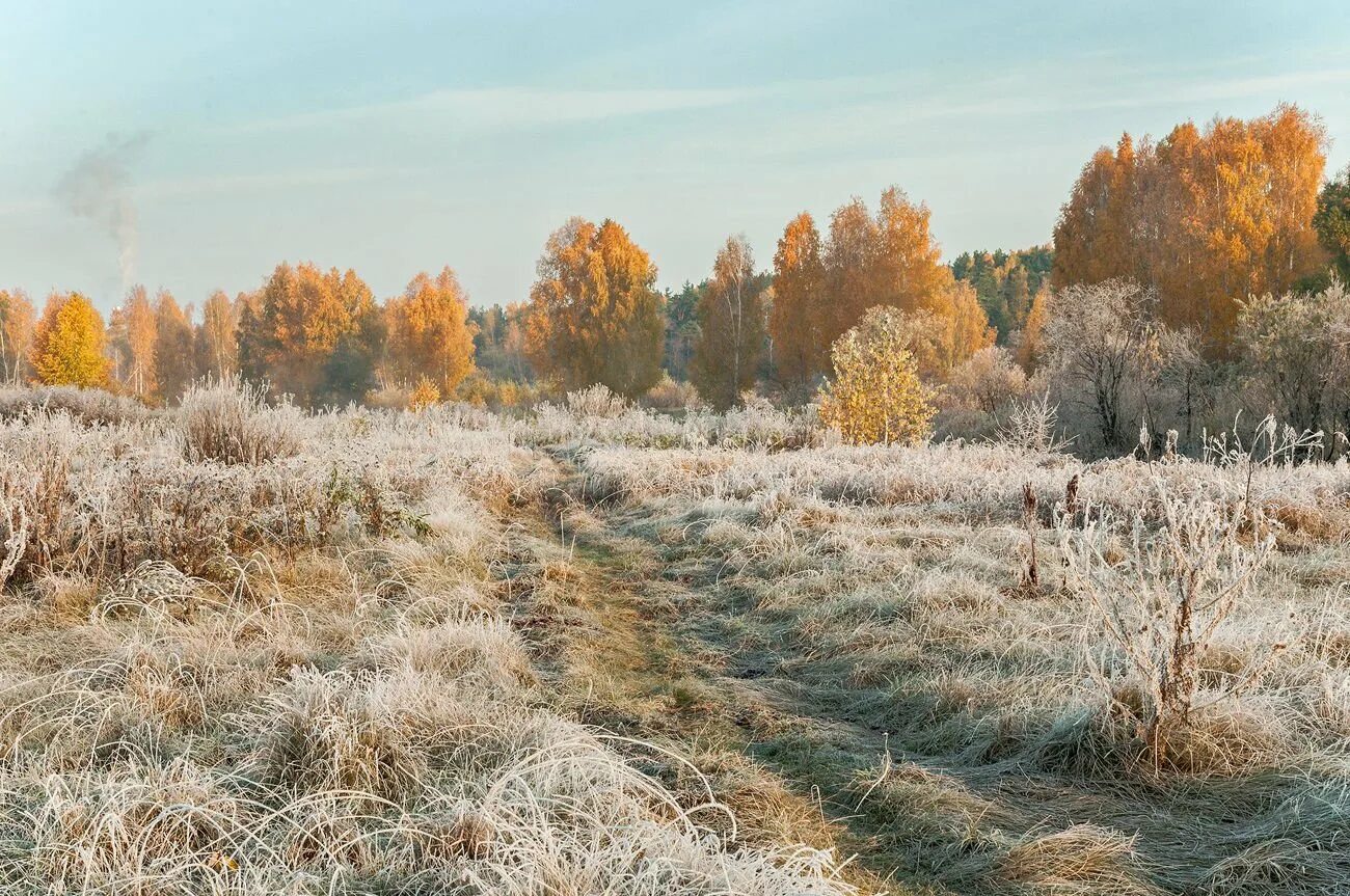 Поздняя осень заморозки. Осенние заморозки. Первые заморозки. Первые осенние заморозки.