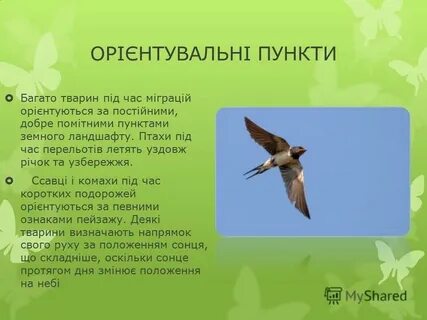 Як визначать