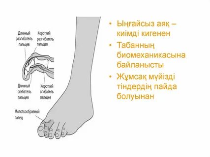 Бреал шырынды порно ғажайып жопы