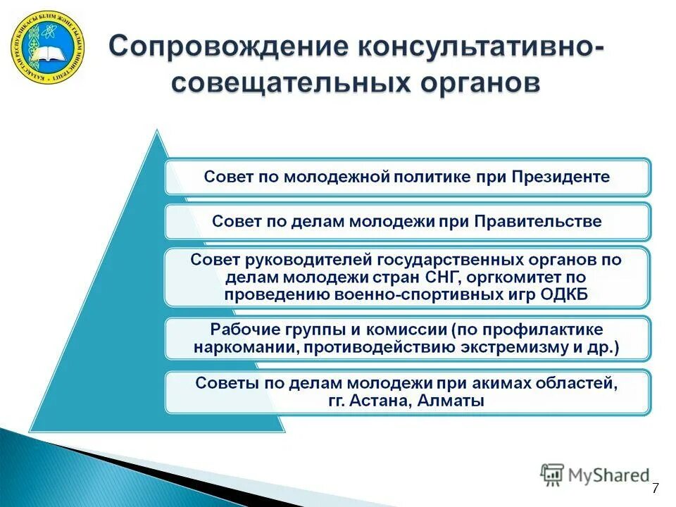 Проблемы реализации молодежной политики. Государственная политика молодежи. Реализация государственной молодежной программы. Программы молодежной политики. Направления работы молодежной политики.