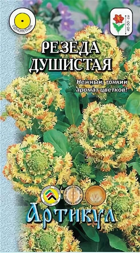 Семена Гавриш сад ароматов Резеда Хавская душистая 0,1 г. Резеда Хавская душистая Гавриш. Семена Резеда душистая. Резеда цветок семена. Резеда купить семена