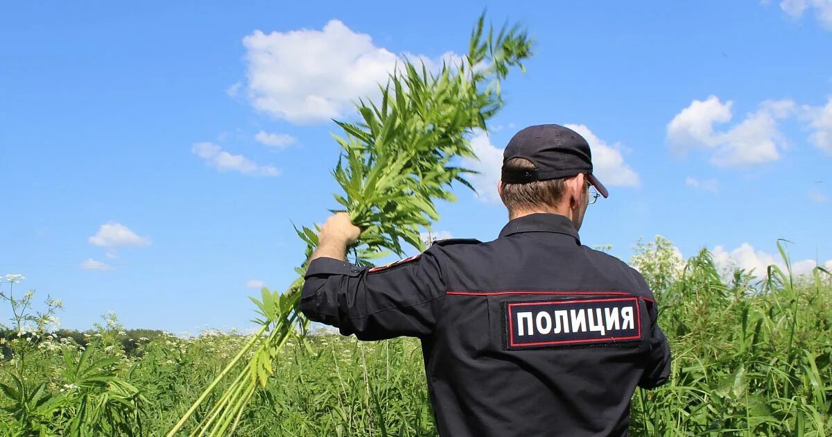 Оперативно профилактической операции мак. Операция мак. всероссийской оперативно-профилактической операции «мак. операция мак листовки.