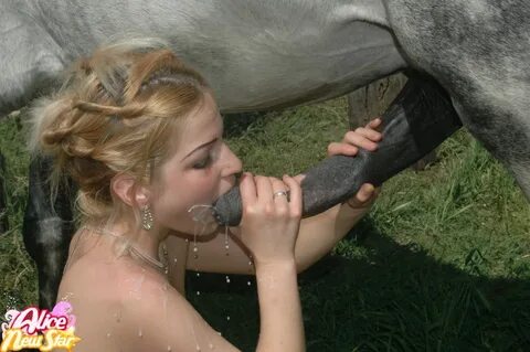 Slideshow sucking horsecock 
