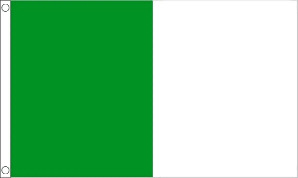 Бело зеленый флаг чей. Бело зеленый флаг. Флаг зелёный белый зелёный. Зеленый флаг с белыми диагоналями это. Серо бело зеленый флаг.