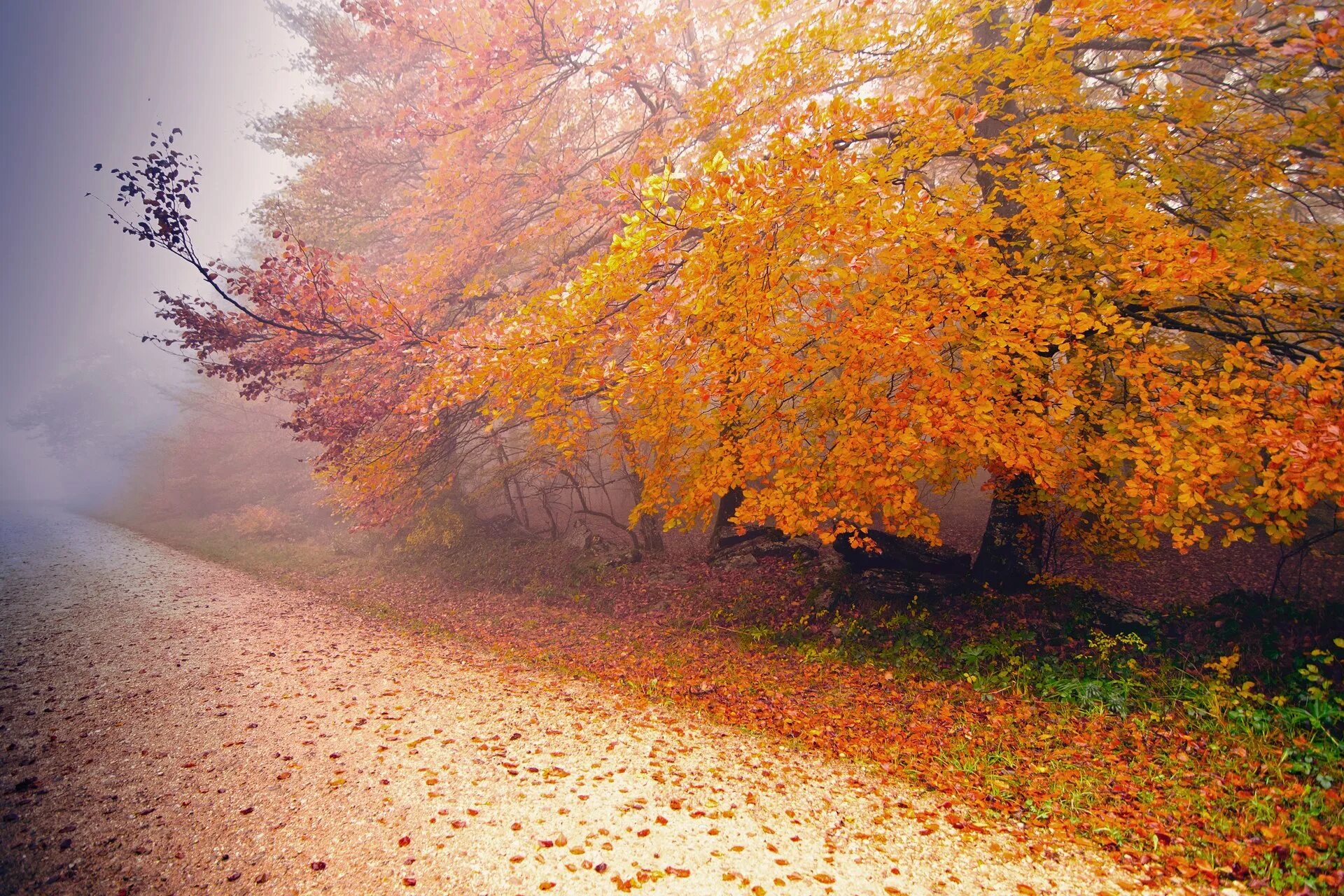 Natural fall. Октябрь природа. Осенние обои. Красивая осень. Осень картинки.