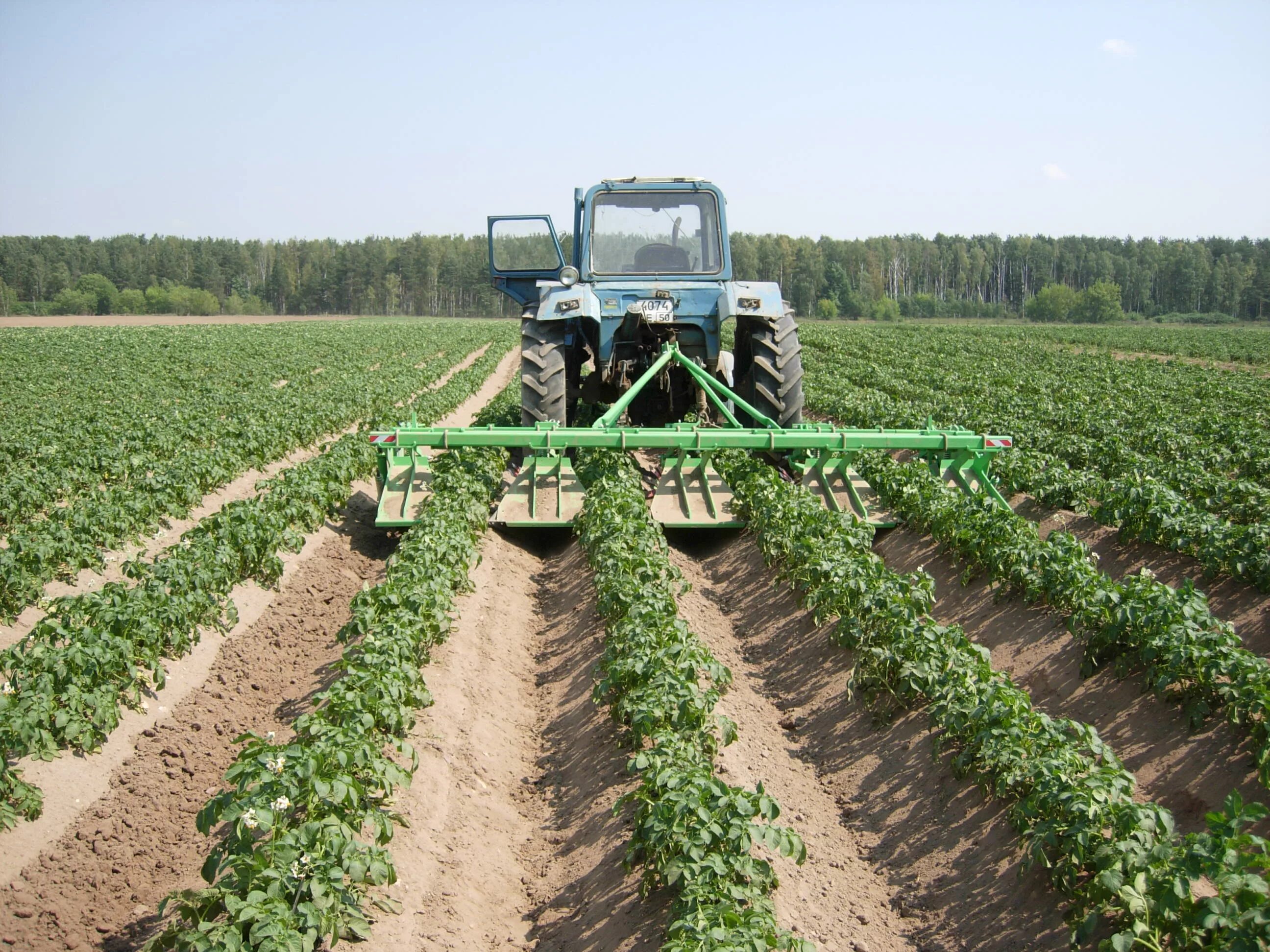 Техника для обработки земли. Культиватор-гребнеобразователь КОЛНАГ КГП-4. Междурядная культивация. Междурядный фрезерный культиватор. Культивация междурядий подсолнечника КРН-4,2.