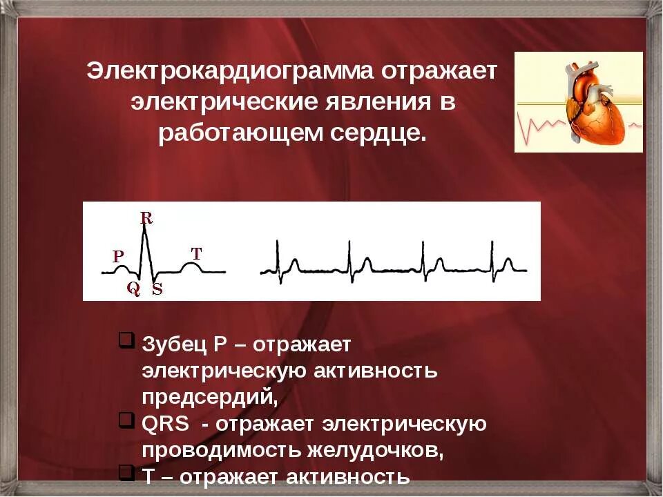На графике изображена электрокардиограмма. Электрическая активность предсердий экг. электрокардиограмма сердца отражает электрическую активность. электрические явления в сердце. электрические явления в сердце. электрокардиограмм.