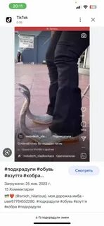 Подкрадули змей