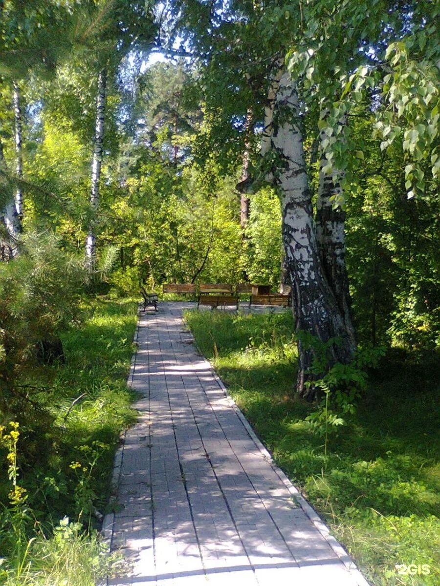 Семьи шамшиных 95а