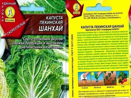 Посадка капусты дни
