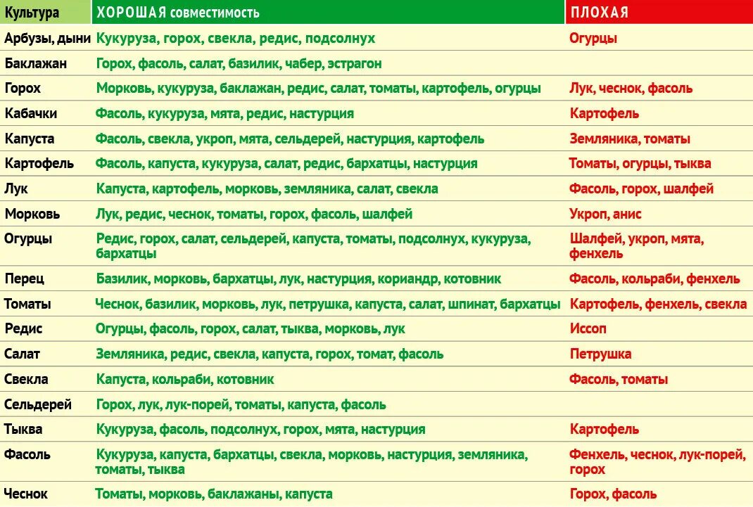 Совместные посадки овощей на грядке. Совместимые посадки овощей в огороде таблица. Совместимость овощных культур при посадке таблица. Совместимость посадок овощей на грядках таблица. Совместимость огородных культур на грядке таблица.