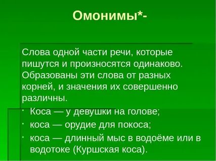 Заимствованные слова омонимы