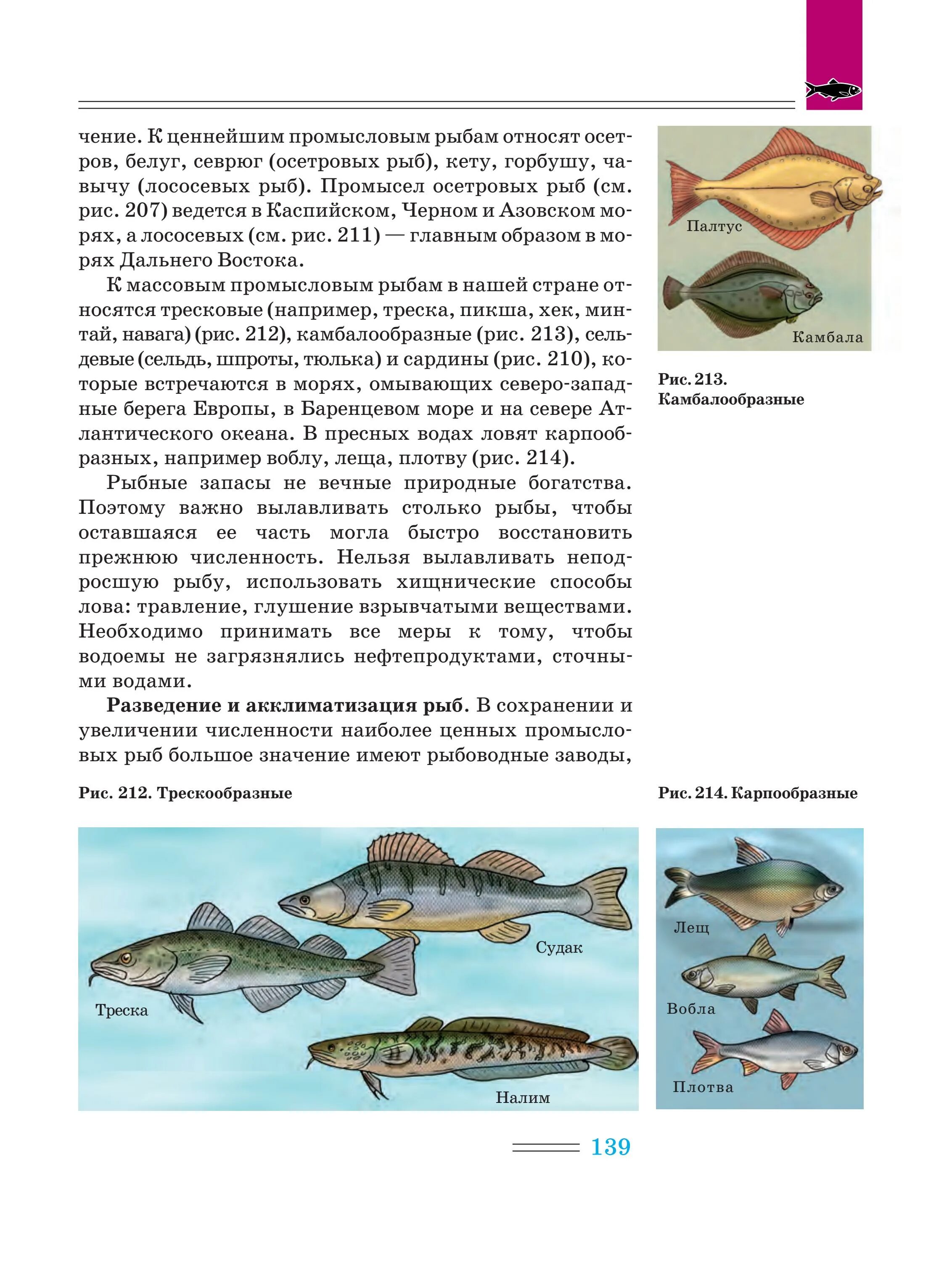 Промысловые рыбы бранцово моря. Карта поомысла баренцево моря. Промысловое значение баренцева моря. Хозяйство европейского севера рыбная промышленность. Морская рыбалка треска.