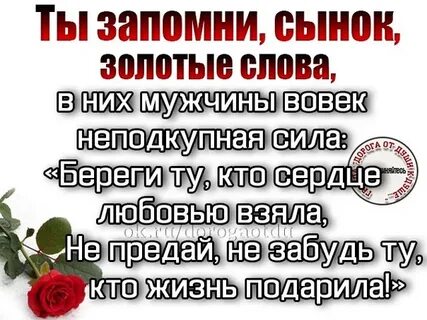 Научу тебя любить моего сына свекор