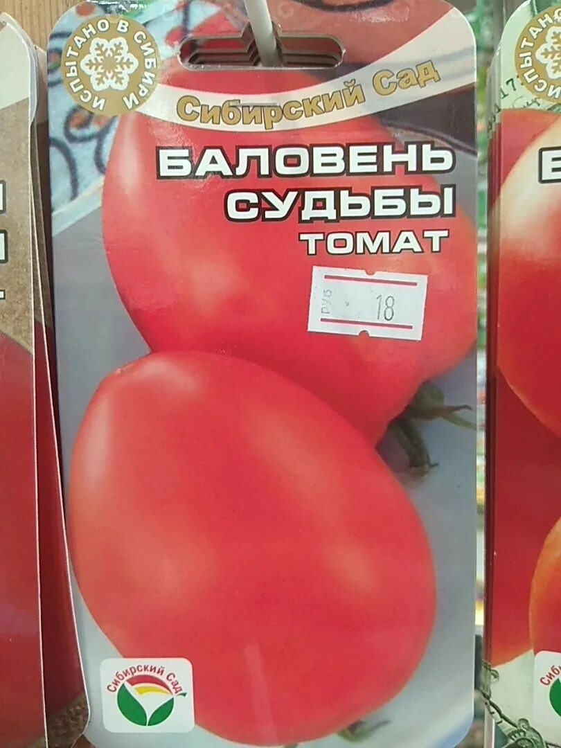 Томат баловень судьбы отзывы. Томат баловень судьбы. Томат баловень судьбы характеристика и описание. Томат баловень судьбы. Томат алый мустанг.